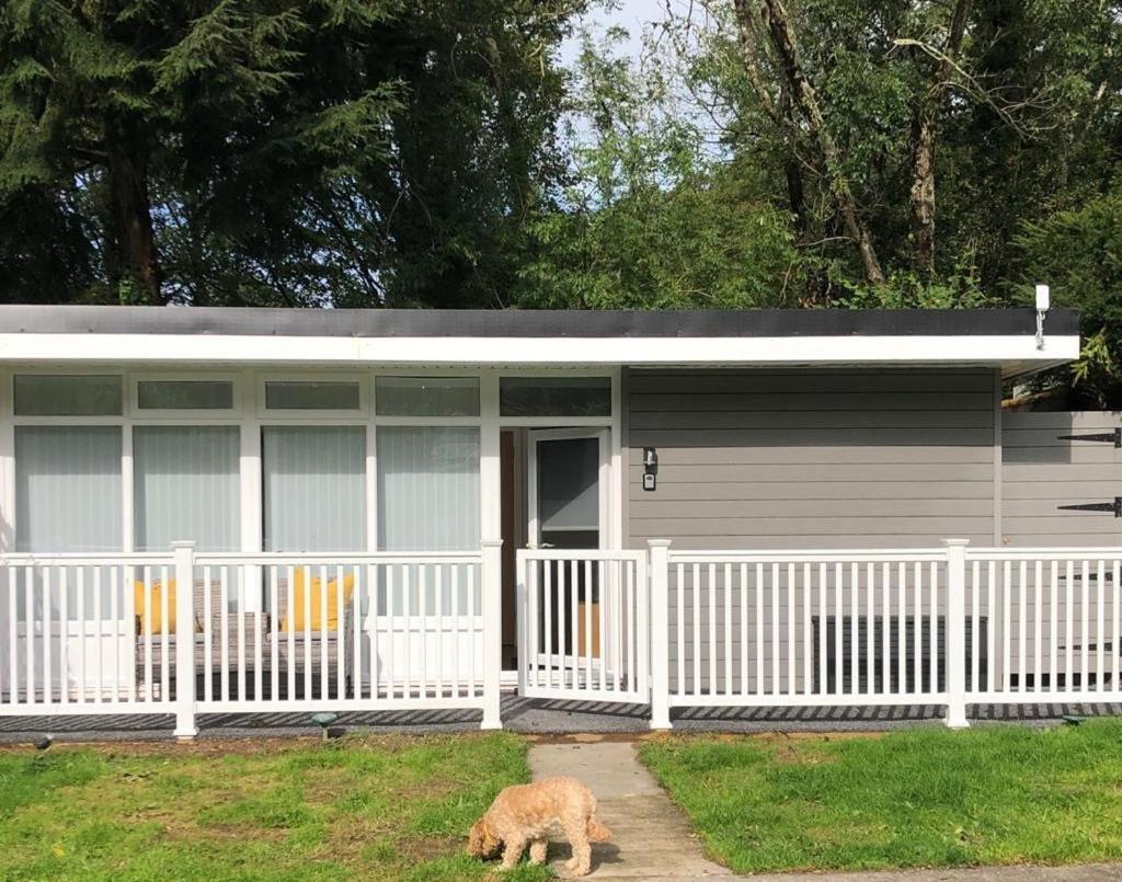 Woodlands Luxury Escape - Lodge 81 New Quay  Exteriör bild